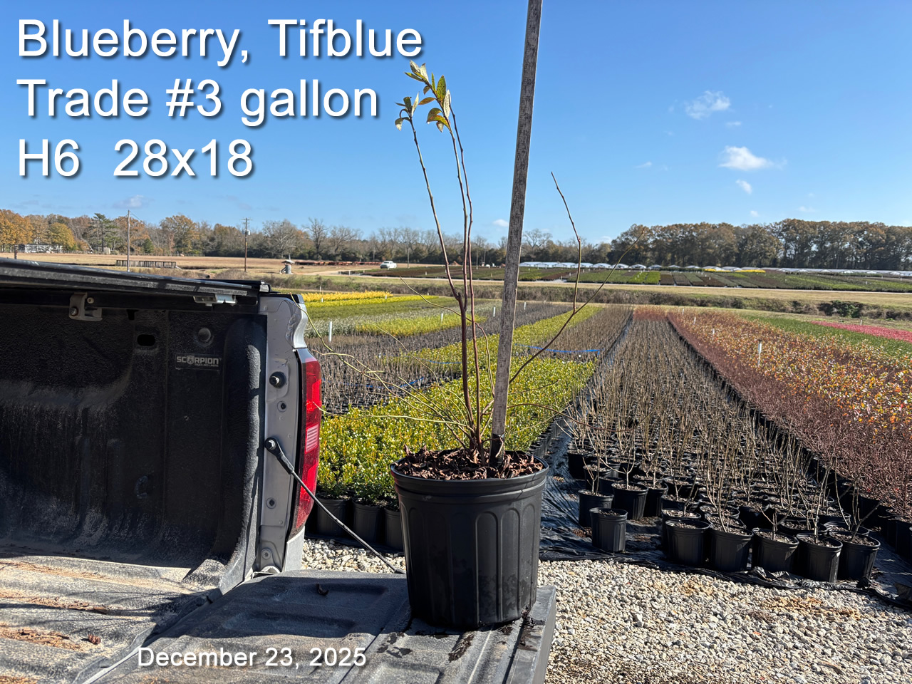 gallery/btb3t h6 dec23.jpg